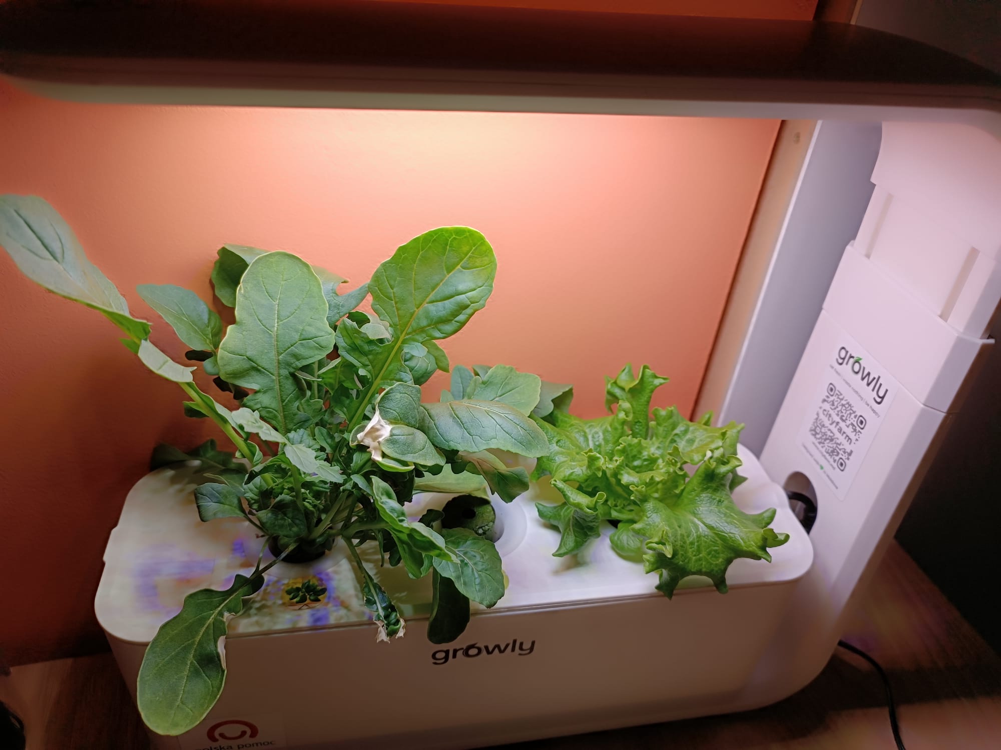 Умная мини ферма